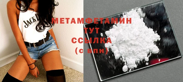 прущие грибы Зерноград
