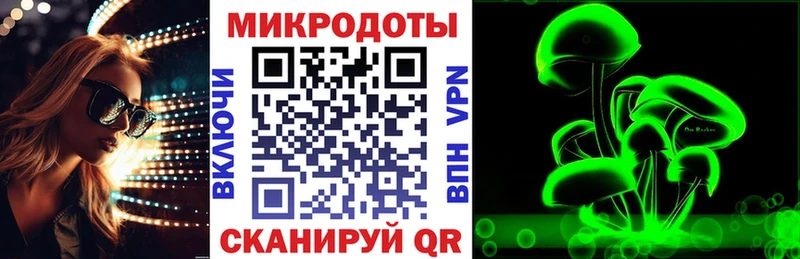 что такое   Николаевск-на-Амуре  Псилоцибиновые грибы прущие грибы 